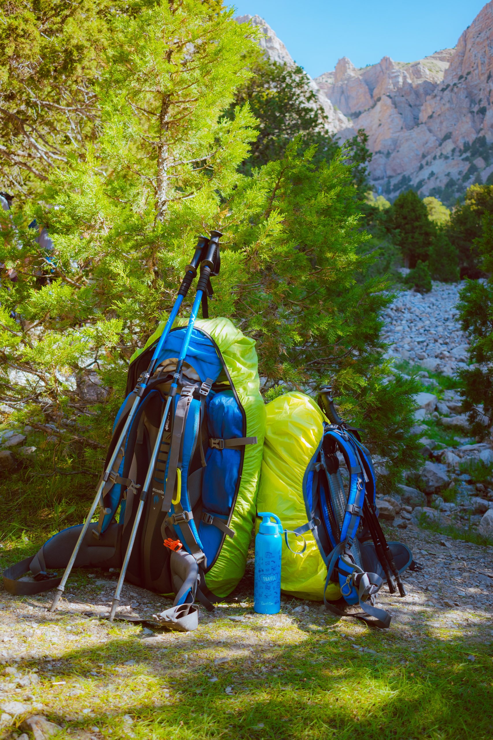 hiking stick