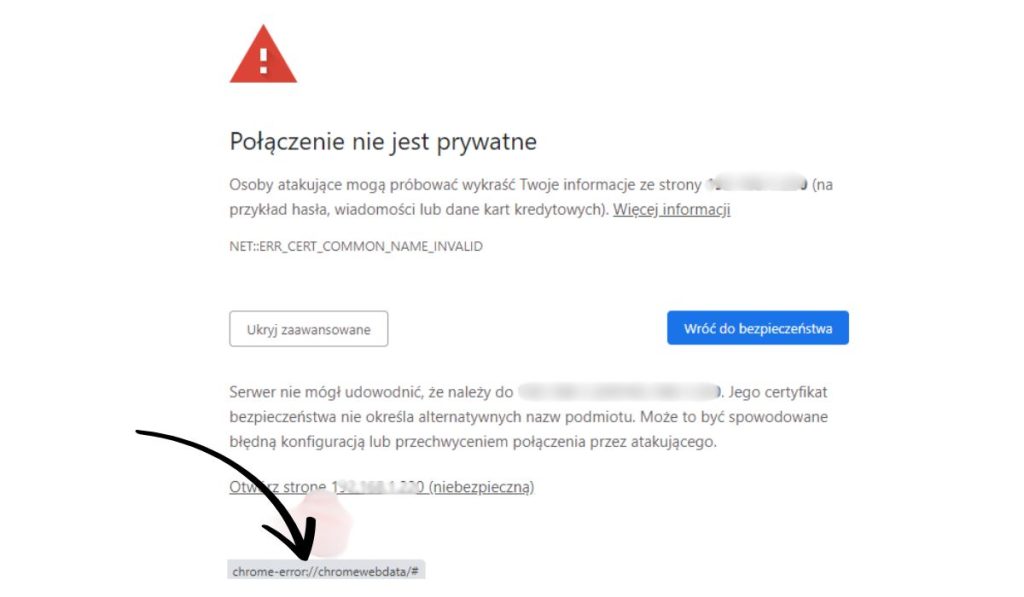 What is chrome-error://chromewebdata/?