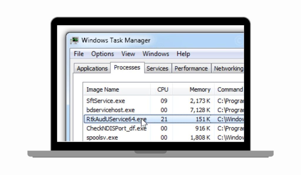 What Is RtkAudUService64